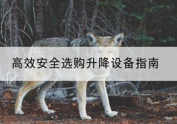 肥城升降货梯厂家推荐-*安全选购升降设备指南