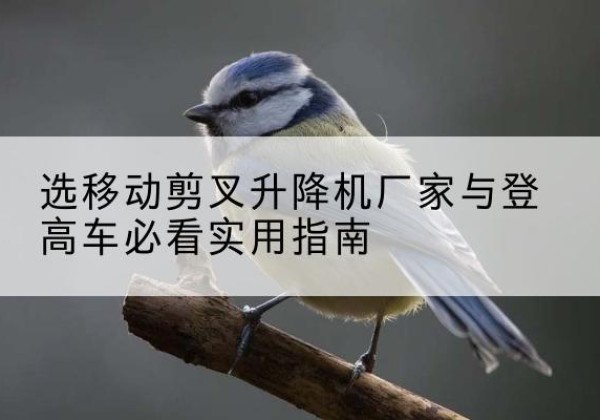 肥城电动升降机厂家-选移动剪叉升降机厂家与登高车必看实用指南